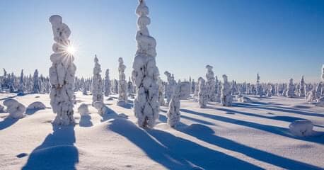 Finlandia: Papá Noel & Iglú de Cristal + Madrid - Imagen 4